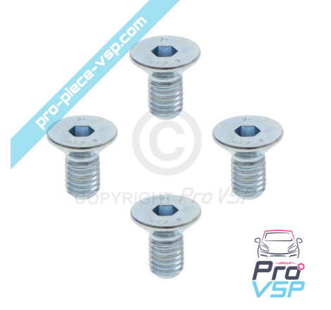 Brake disk fixing screw lot