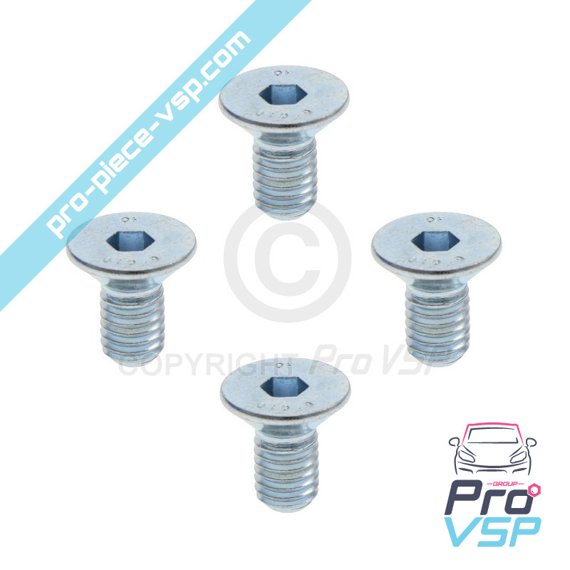 Brake disk fixing screw lot