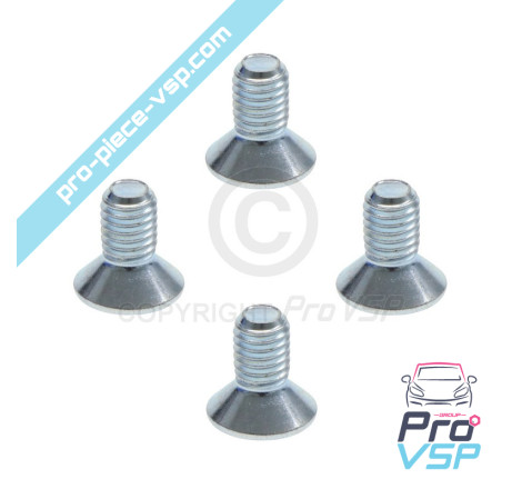Brake disk fixing screw lot