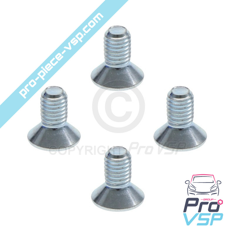 Brake disk fixing screw lot