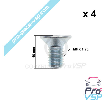 Brake disk fixing screw lot