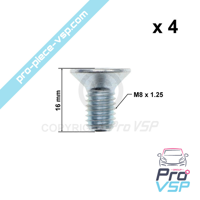 Brake disk fixing screw lot