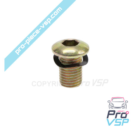Brake disc fixing screw