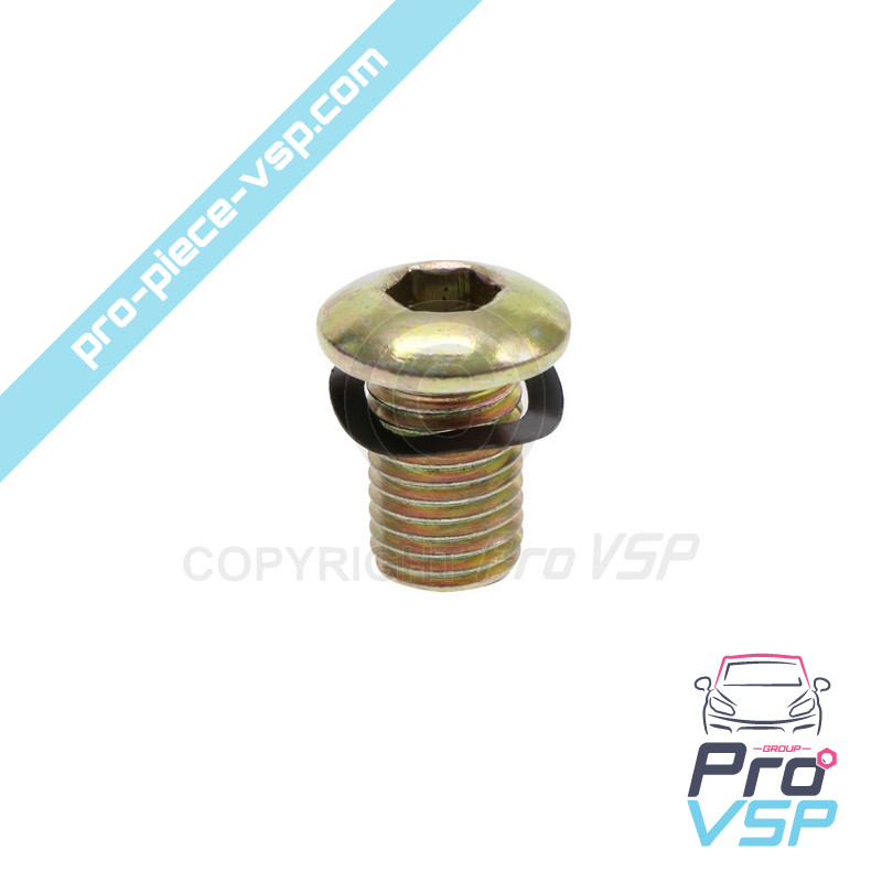Brake disc fixing screw