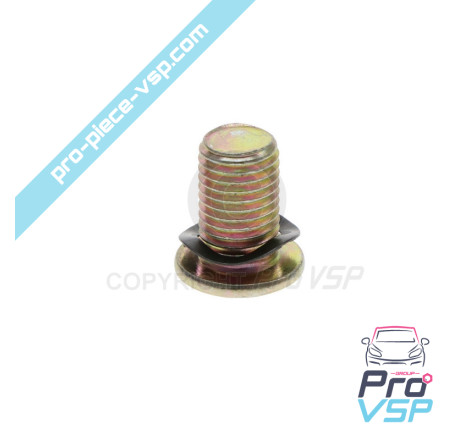 Brake disc fixing screw