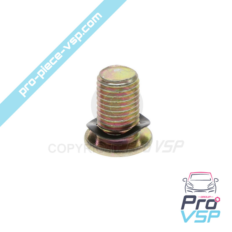 Brake disc fixing screw