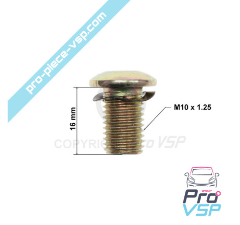 Brake disc fixing screw
