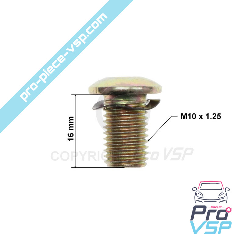 Brake disc fixing screw