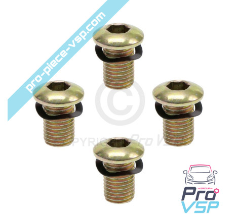 Brake disk fixing screw lot