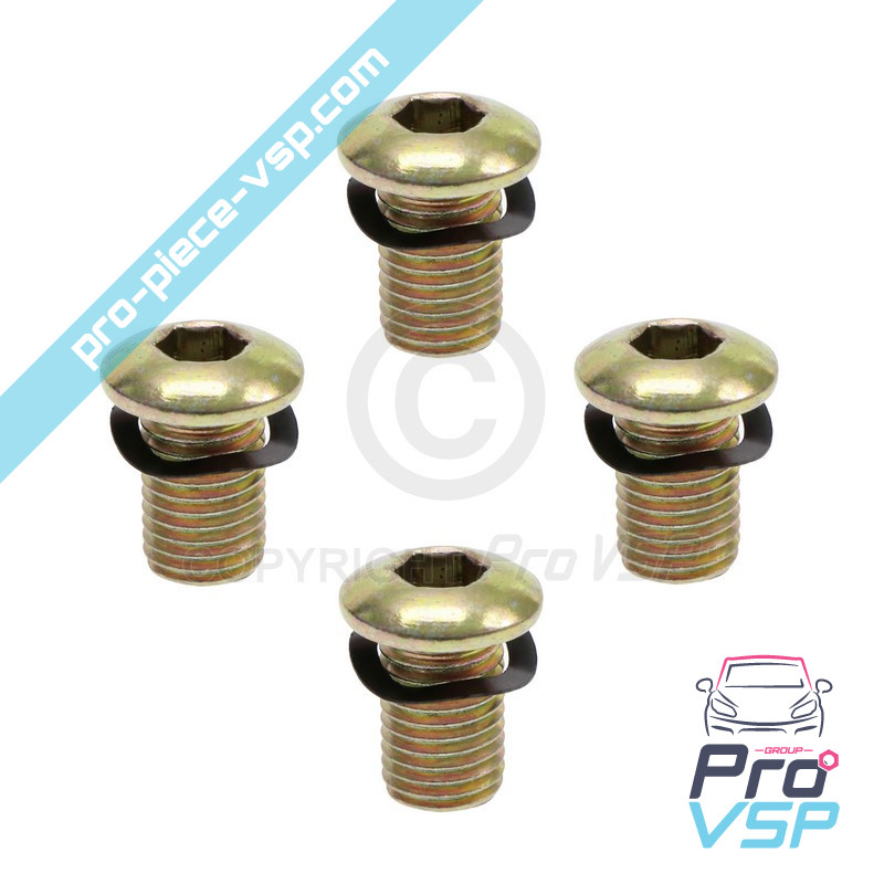 Brake disk fixing screw lot