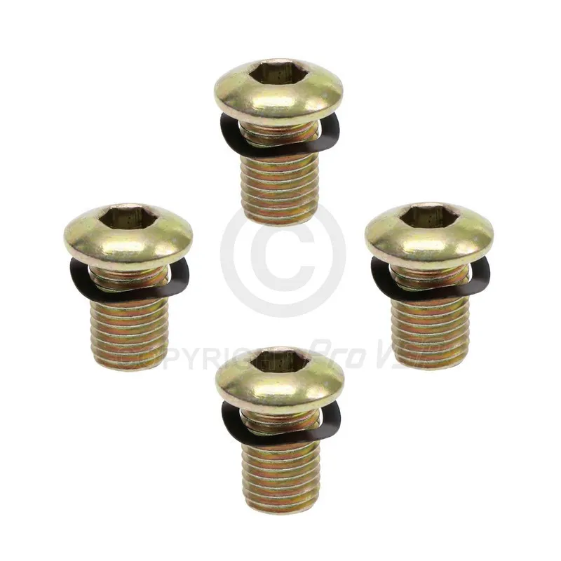 Brake disk fixing screw lot