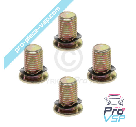 Brake disk fixing screw lot