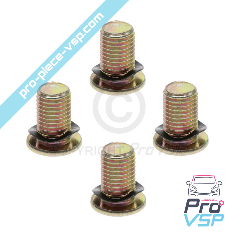 Brake disk fixing screw lot