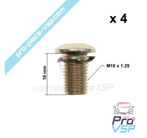 Brake disk fixing screw lot