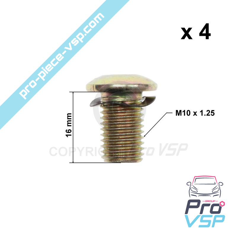Brake disk fixing screw lot