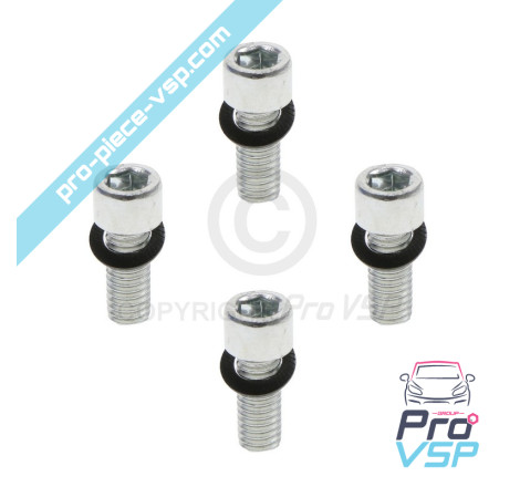 Rear brake disc fixing screw batch