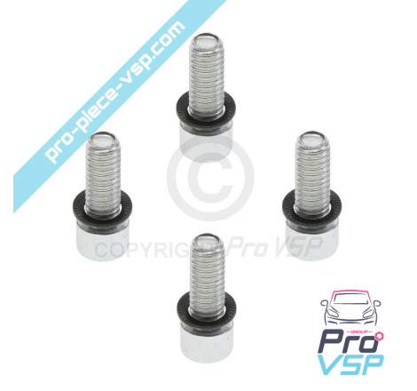 Rear brake disc fixing screw batch