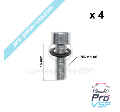 Rear brake disc fixing screw batch