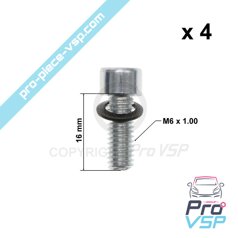 Rear brake disc fixing screw batch