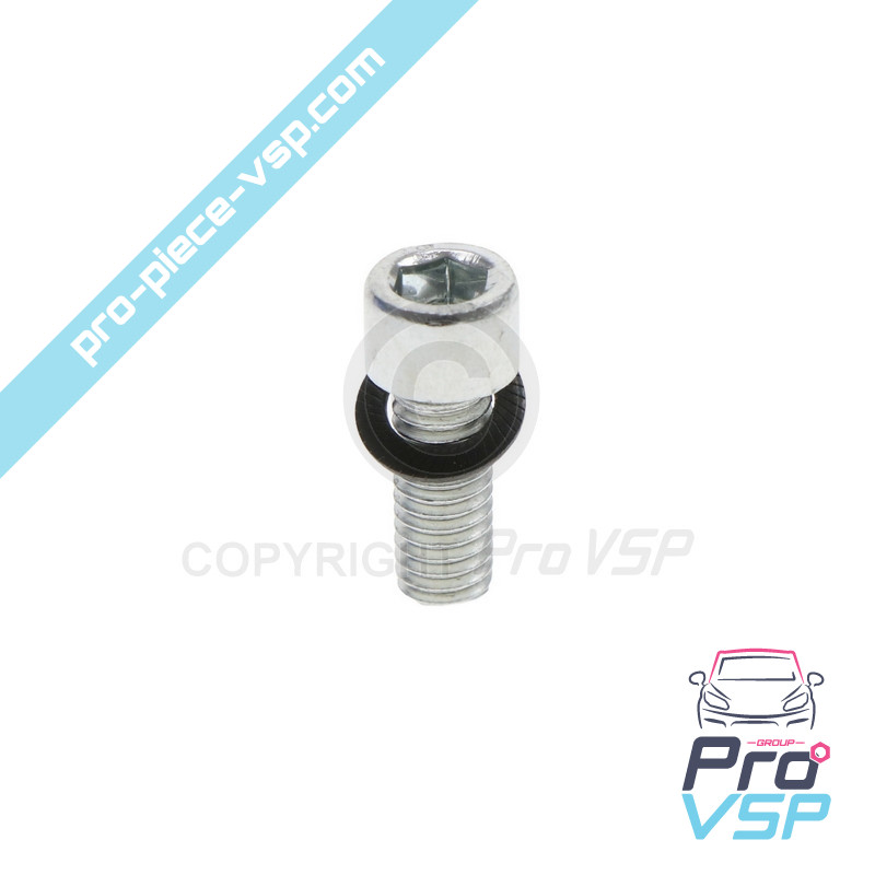 Rear brake disc fixing screw