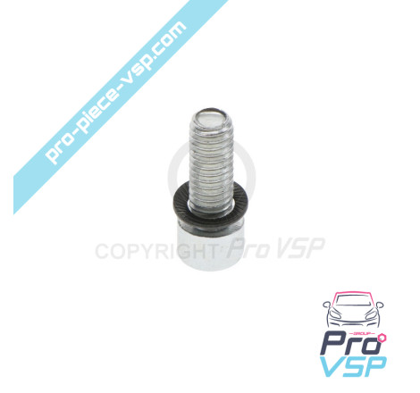 Rear brake disc fixing screw