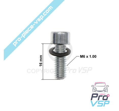 Rear brake disc fixing screw