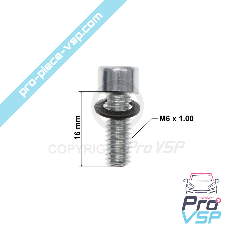 Rear brake disc fixing screw
