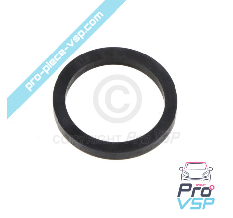 Rear brake caliper piston gasket