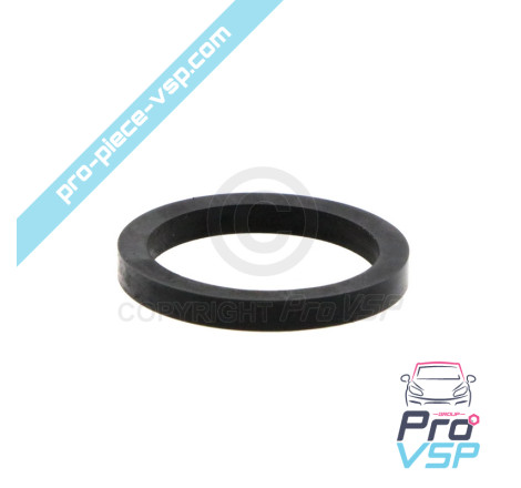 Rear brake caliper piston gasket