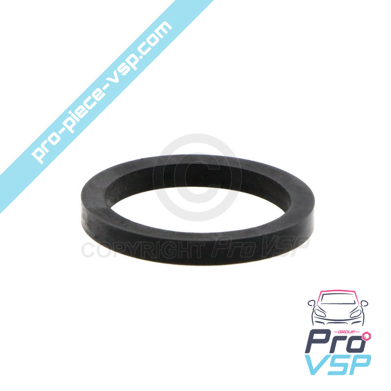 Rear brake caliper piston gasket