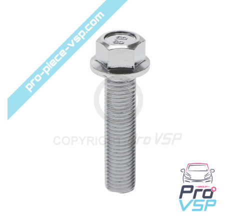 Front brake disc screw