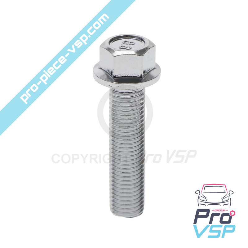 Front brake disc screw