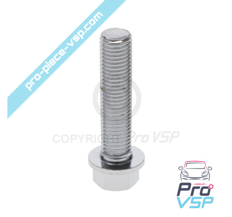 Front brake disc screw