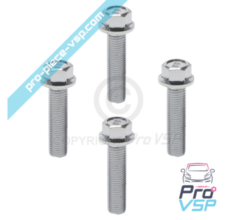 Brake disk fixing screw lot