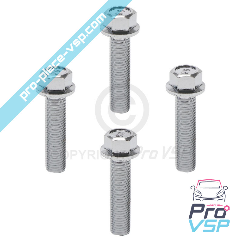 Brake disk fixing screw lot