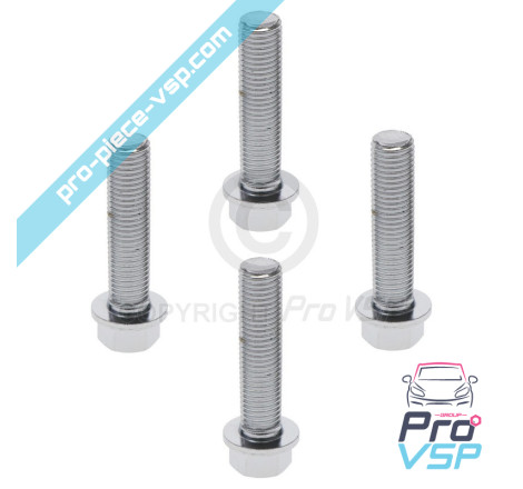 Brake disk fixing screw lot