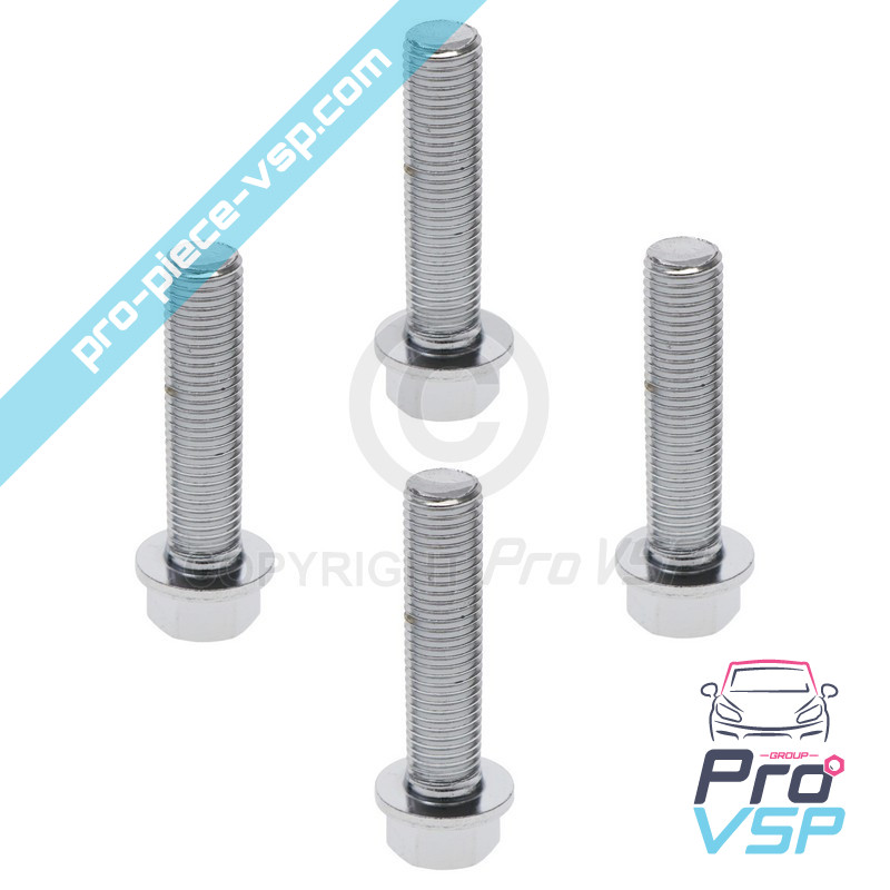 Brake disk fixing screw lot