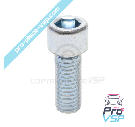 BTR M12x30 screw