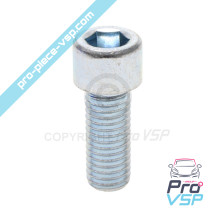 BTR M12x30 screw