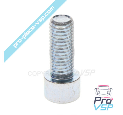 BTR M12x30 screw