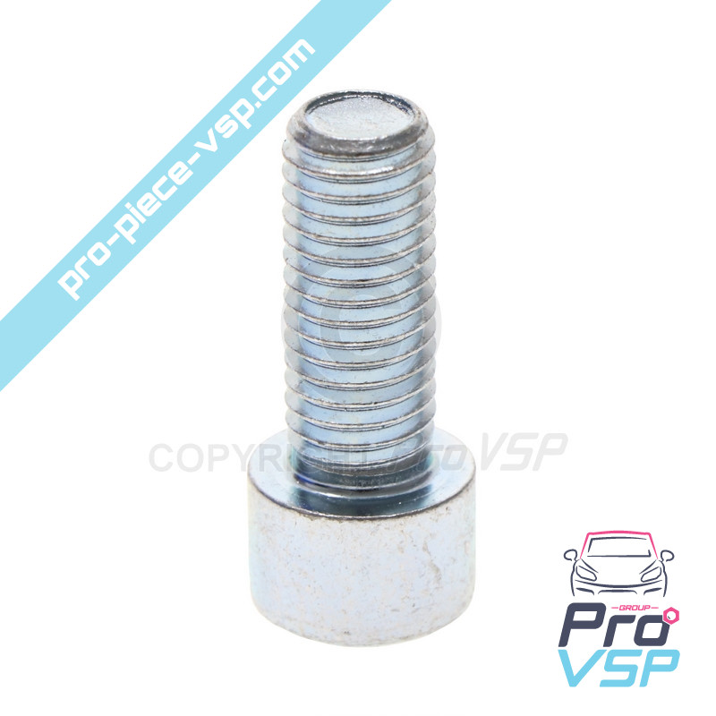 BTR M12x30 screw