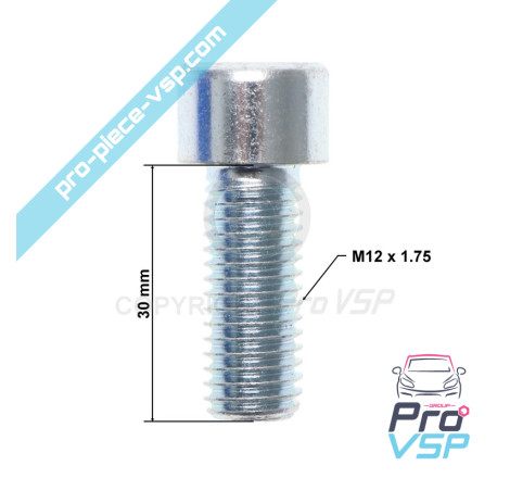 BTR M12x30 screw