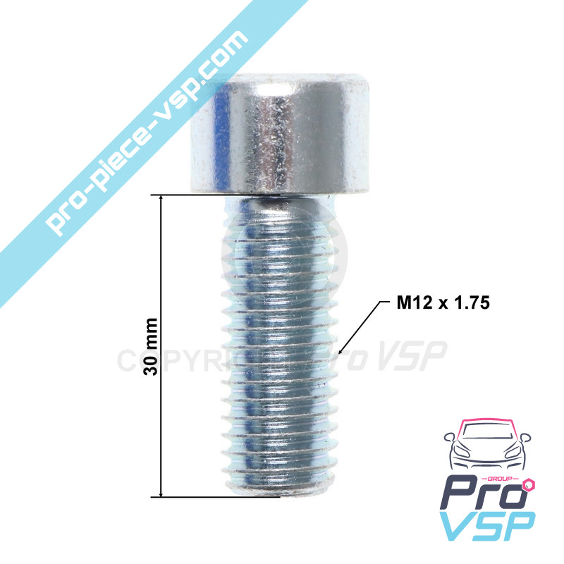 BTR M12x30 screw