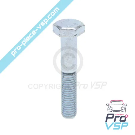 Tornillo hexagonal de hexágono M10x55