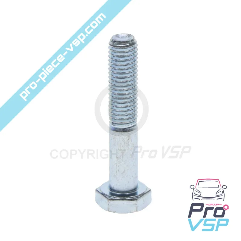 Vis tête hexagonale M10x55