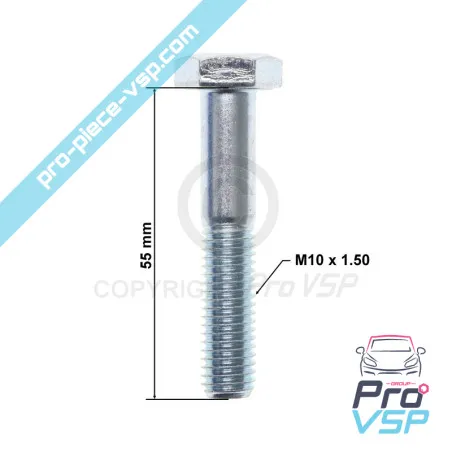 Vite esagonale esadecimale M10x55