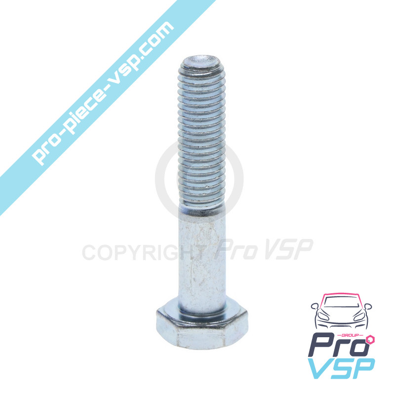 Triangle screw