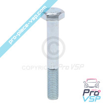 M10x70 Hex Hex Screw