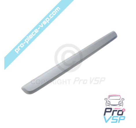 Front bumper baguette