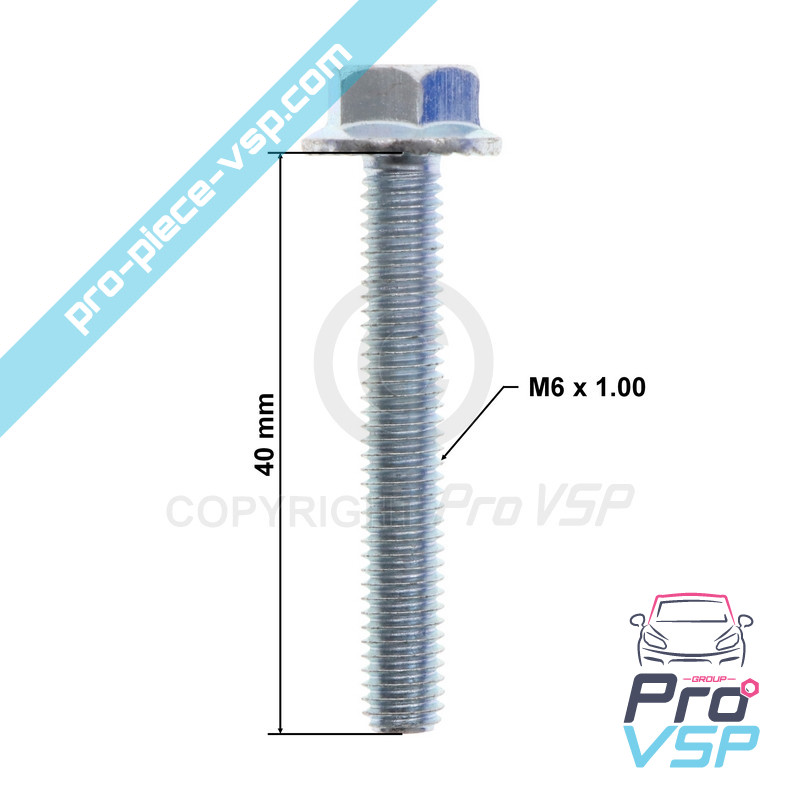 Vis carter M6x100